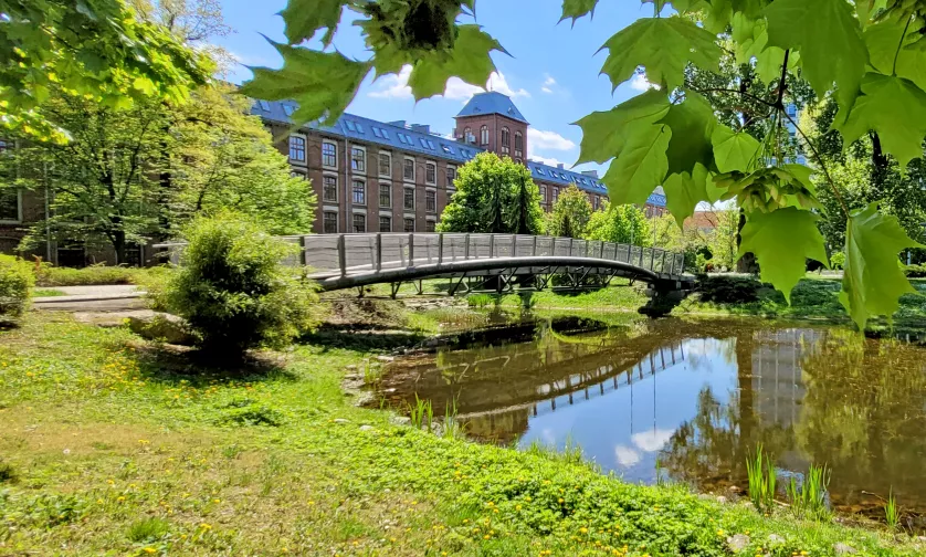 Widok na staw na Politechnice Łódzkiej. 